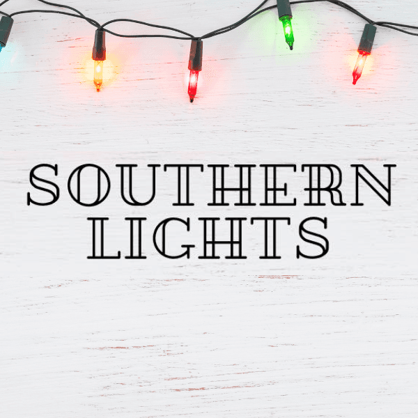 Southern Lights event photo