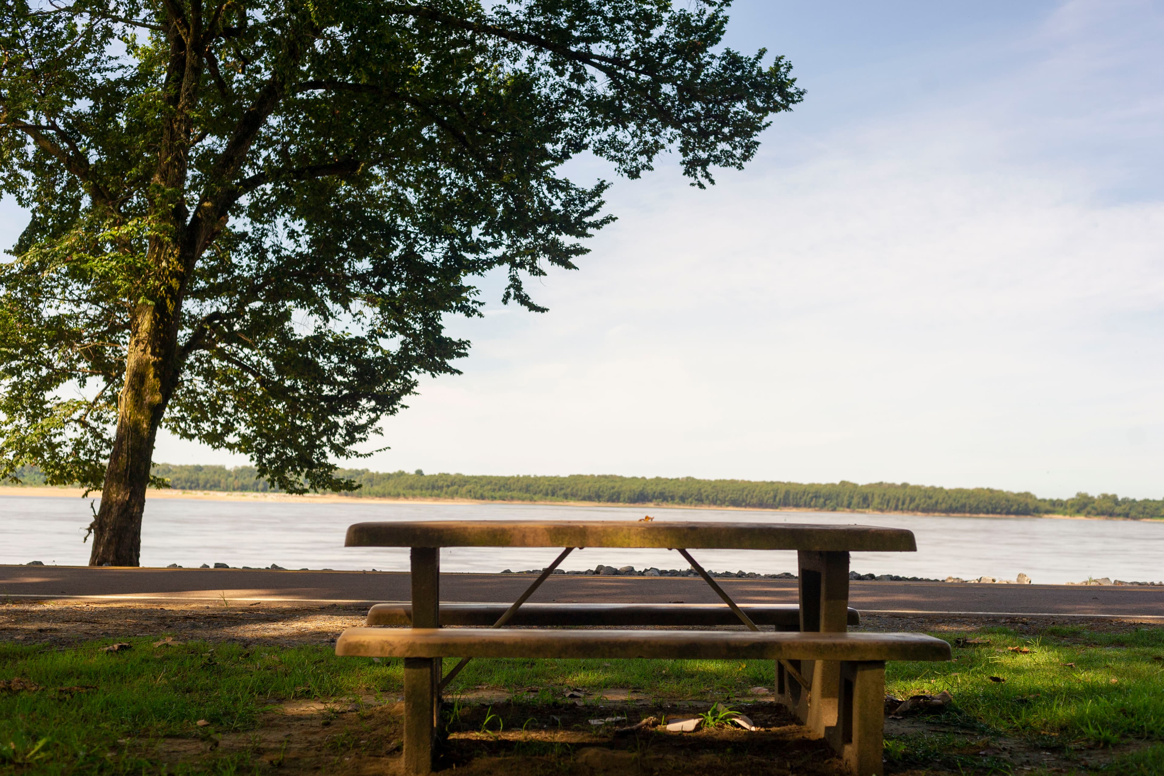 Calm Mississippi River shoreline with trees at Hernando DeSoto River Park in Walls