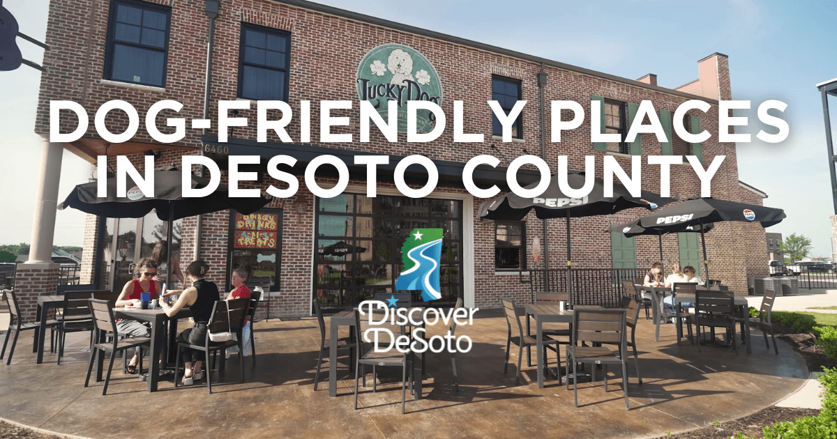 dog-friendly patio in southaven, mississippi