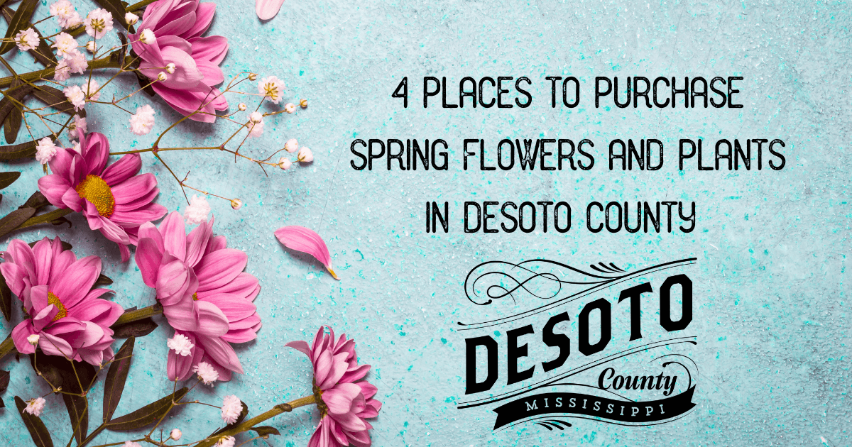 4 places to purchase spring plants and flowers in desoto county blog hero