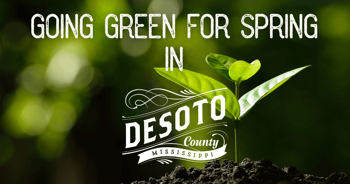 going green for spring blog hero