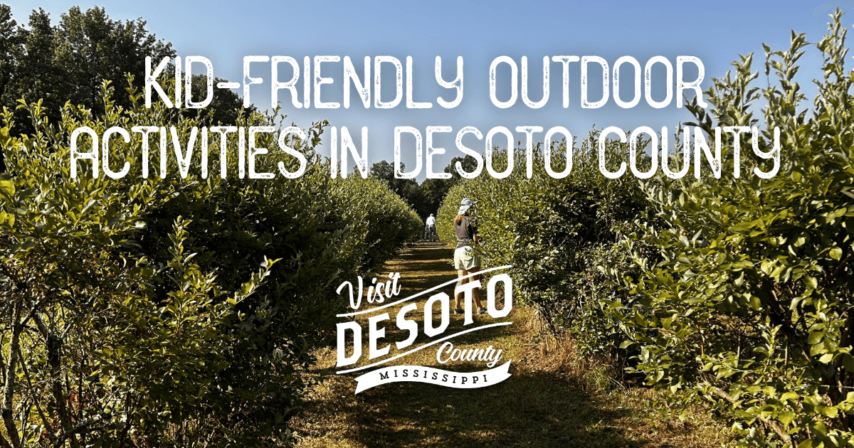 kid friendly outdoor activities in desoto county blog hero