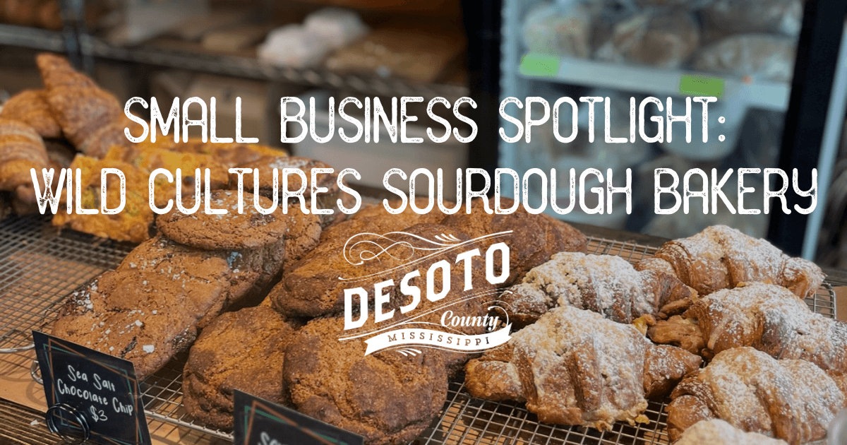 small business spotlight wild cultures sourdough bakery blog hero