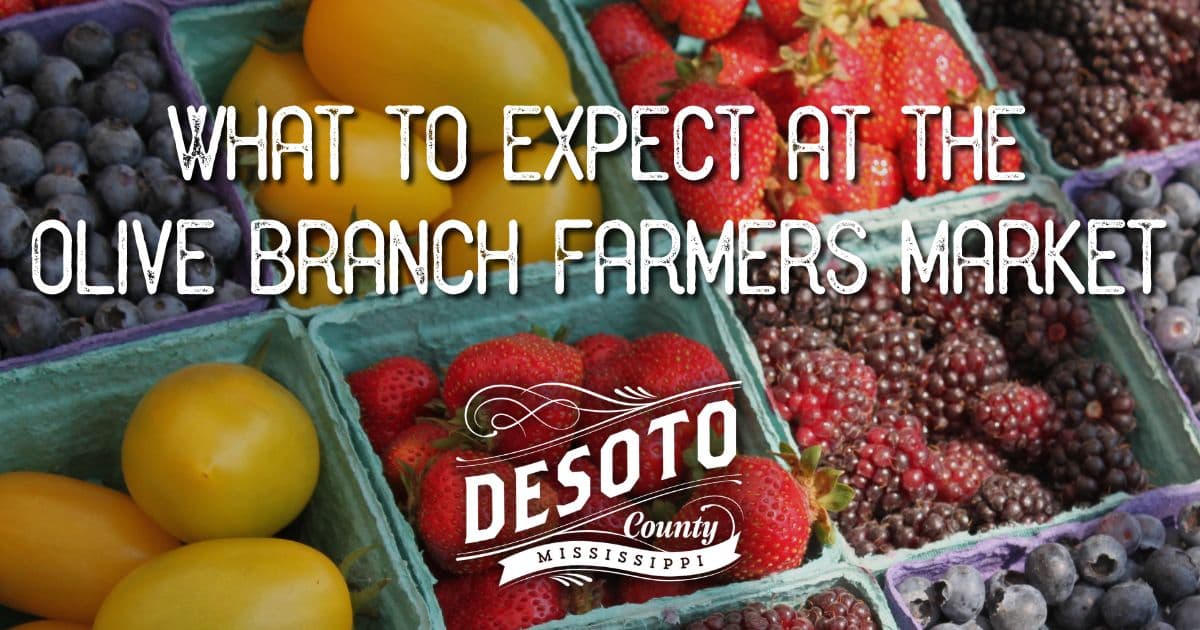 what to expect at the olive branch farmers market blog hero