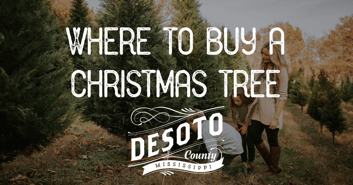 where to buy a christmas tree in desoto county blog hero