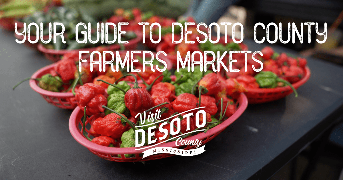 your guide to desoto county farmers markets blog hero