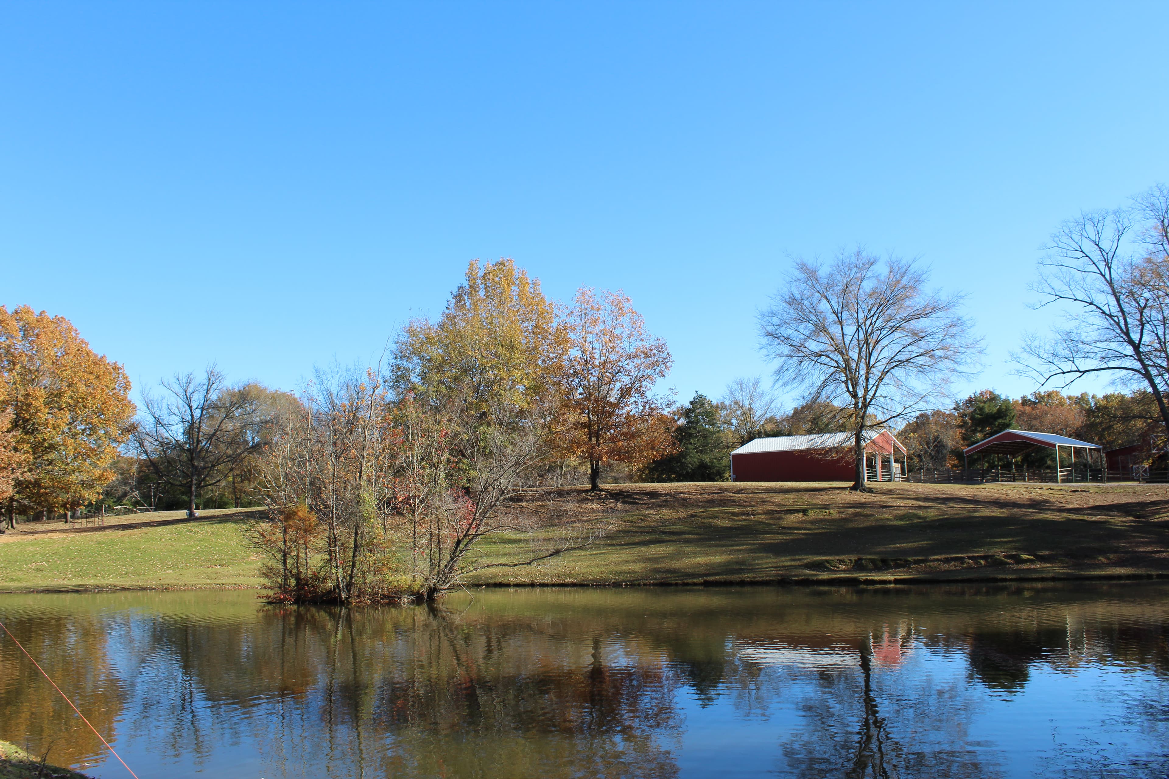 Red barn and autumn trees reflected in the pond at Cedar Hill Farm in Hernando