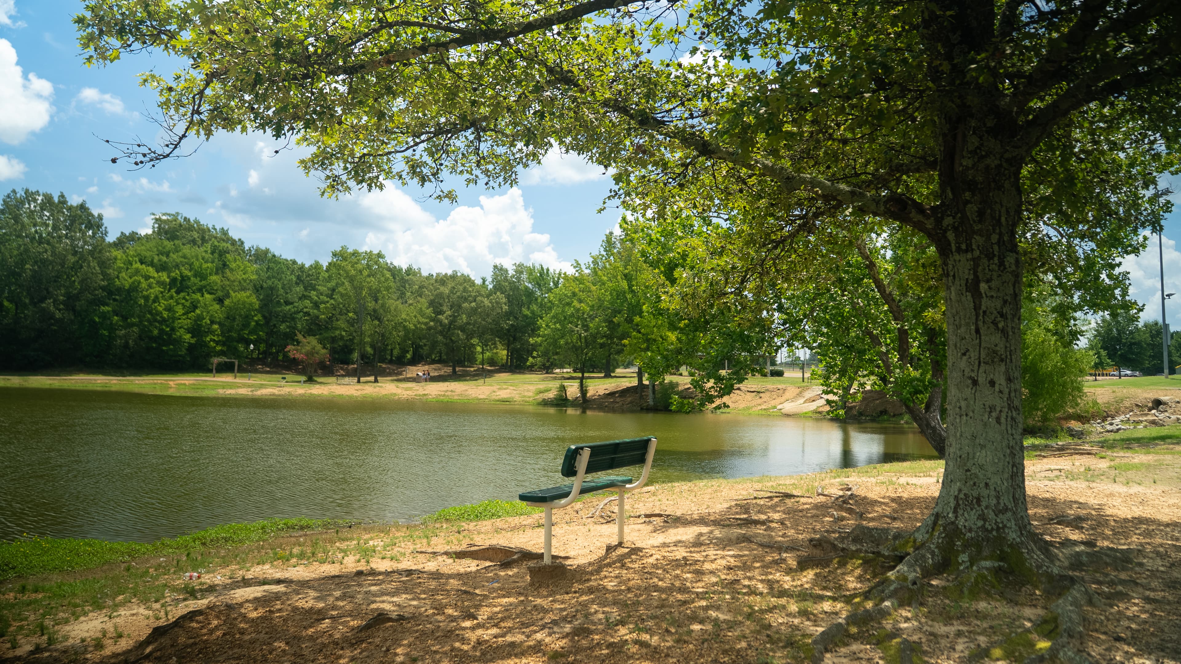 Park bench shaded by a large tree beside a calm lake at Olive Branch City Park